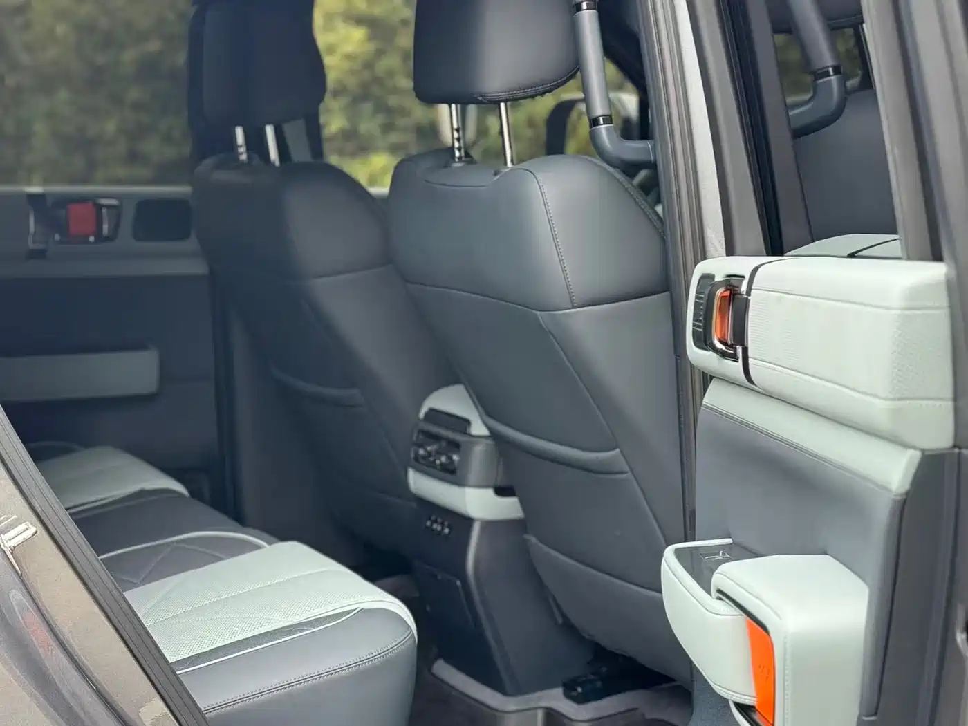 FANG CHENG BAO LEOPARD 5