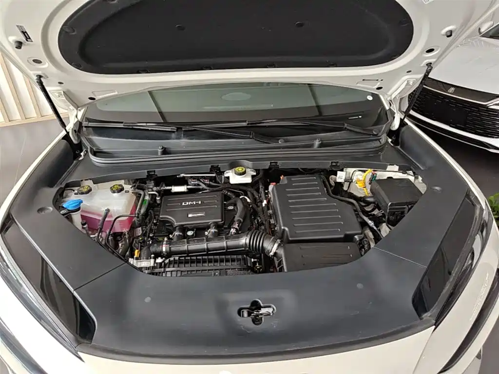 BYD Sealion 06 New Energy 2025 DM-i 170 Pilot Pro Edition фото 20