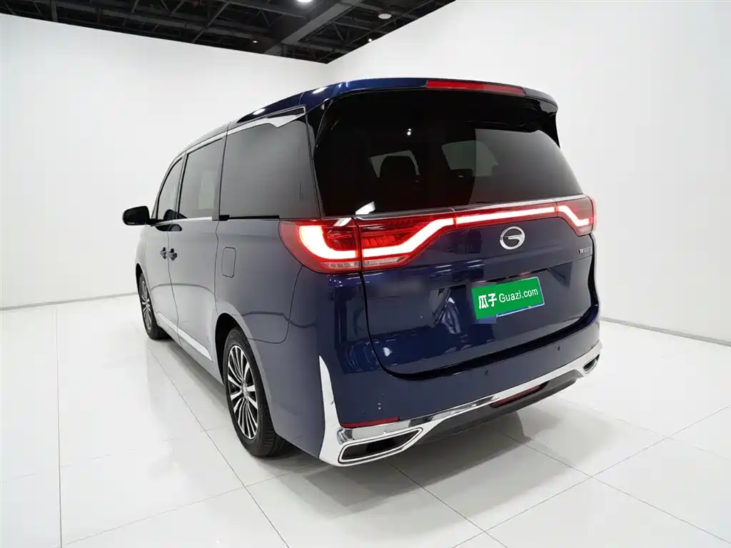 GAC Trumpchi Trumpchi M8 2021 Leading Show Series 390T Ultimate Edition фото 5