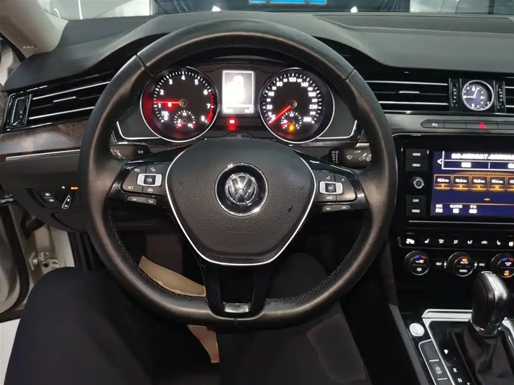 Volkswagen Magotan 2019 330TSI DSG Luxury China V фото 11