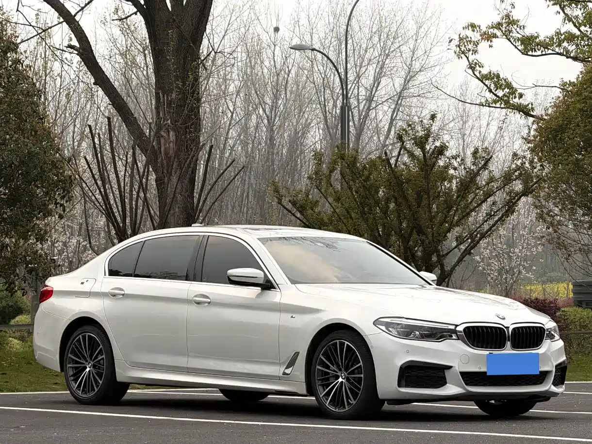 BMW 5 Series 2020 Model 530Li xDrive M Sport Package фото 3