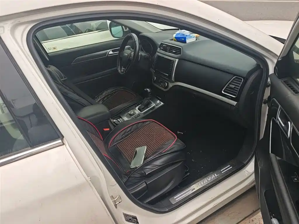 Haval H6 Coupe 2016 Blue Label 1.5T Automatic 2WD Elite фото 25