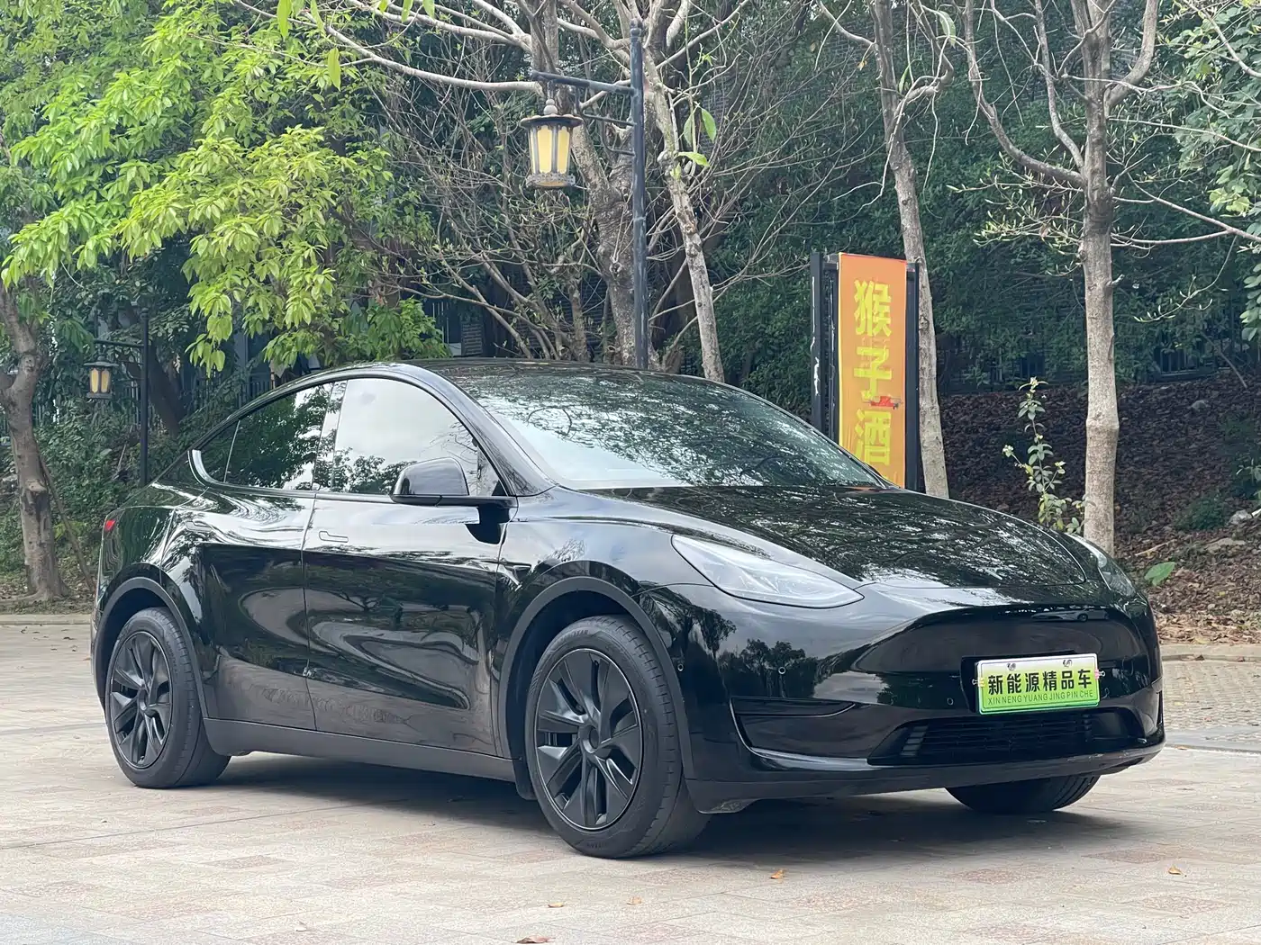 TESLA MODEL Y