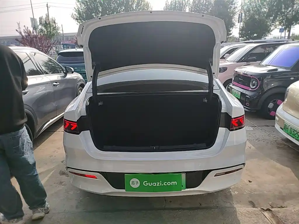 BYD Qin PLUS 2024 Glory Edition DM-i 55KM Leading фото 19