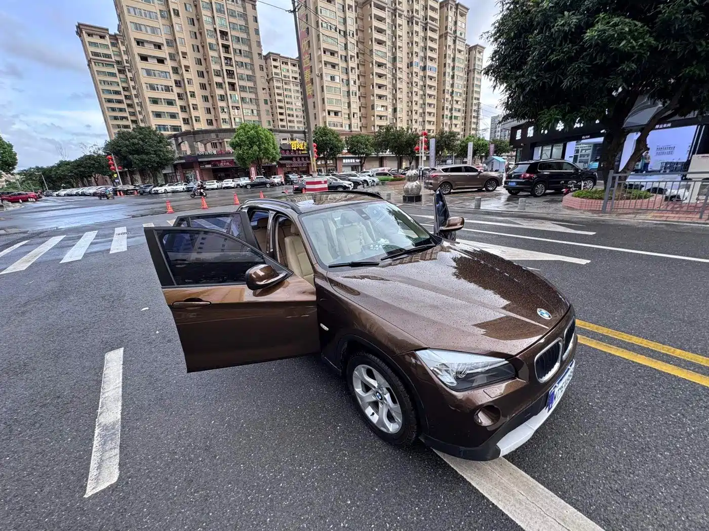 BMW X1 (Import) 2011 2010 sDrive18i Luxury Model