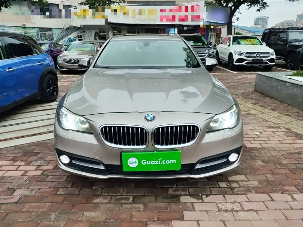 BMW 5 Series 2014 525Li Leading фото 3