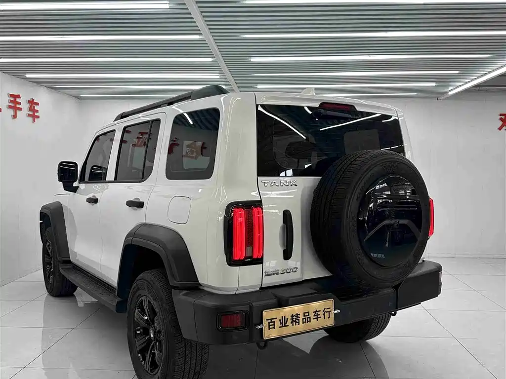 Tank 300 2023 Off-Road Edition 2.0T Conqueror фото 8