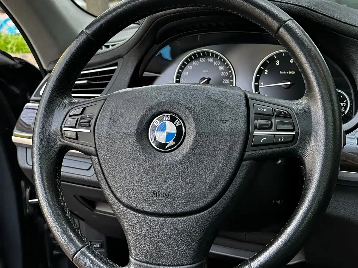 BMW 7 Series 2009 740Li Premium фото 12