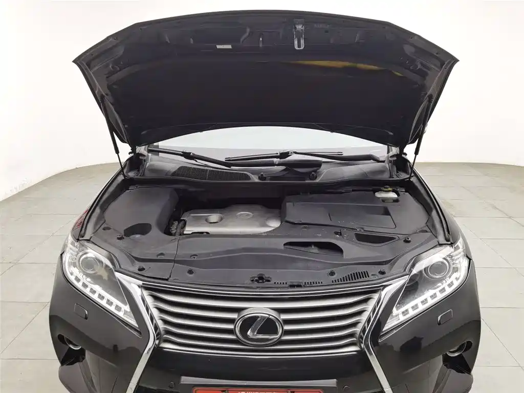 Lexus RX Classic 2013 270 Elite фото 6