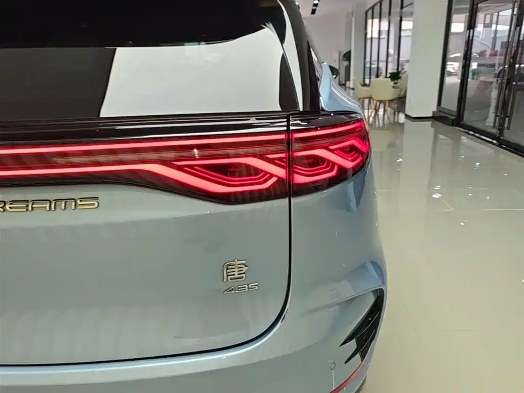BYD Tang New Energy 2024 DM-p Champion Edition 215KM AWD Flagship фото 8