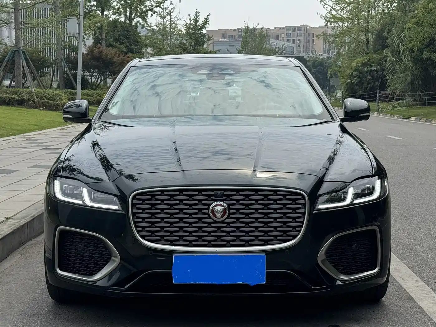 Jaguar XFL 2025 2024 2.0T P250 2WD Premium Luxury