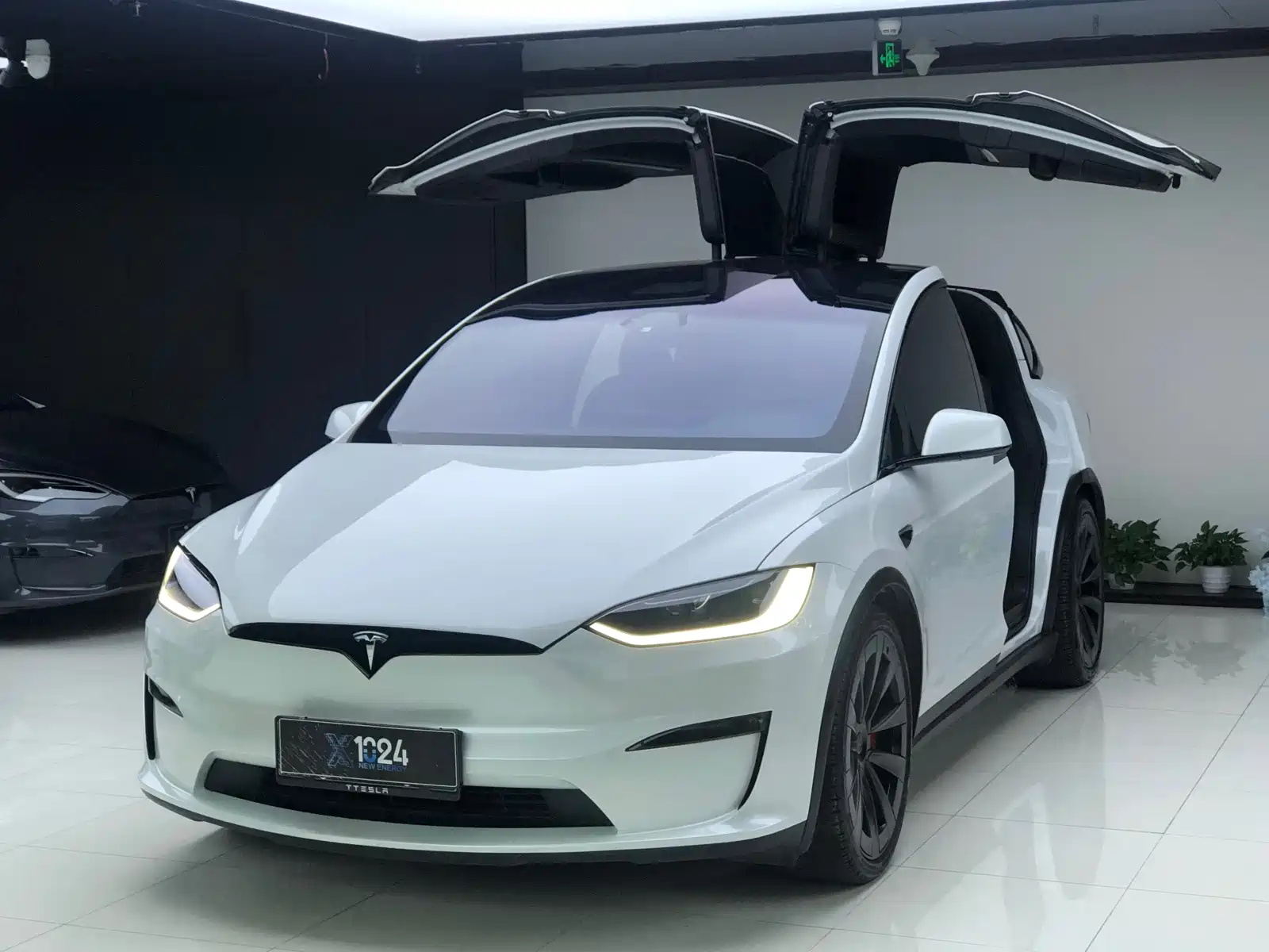 Фото 1 - Tesla Model X