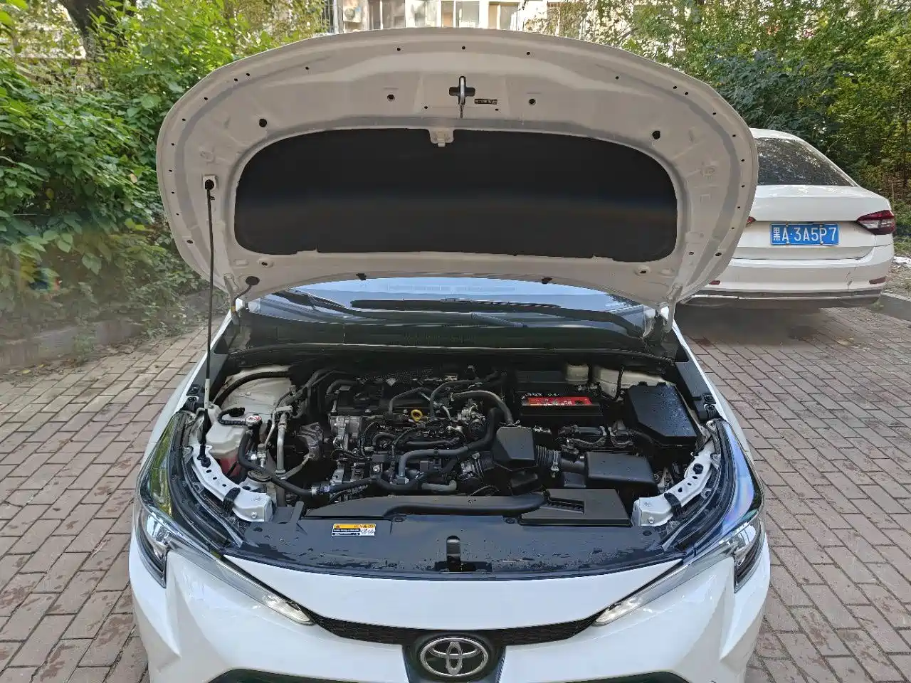 Фото 7 - Toyota Levin