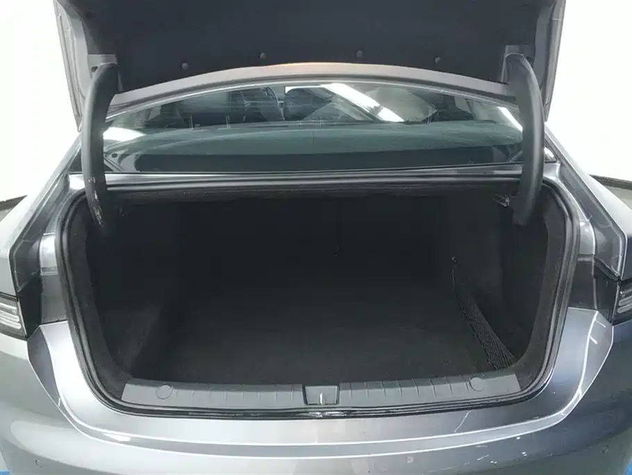 BYD Destroyer 05 2024 Glory Edition DM-i 55KM Luxury фото 4