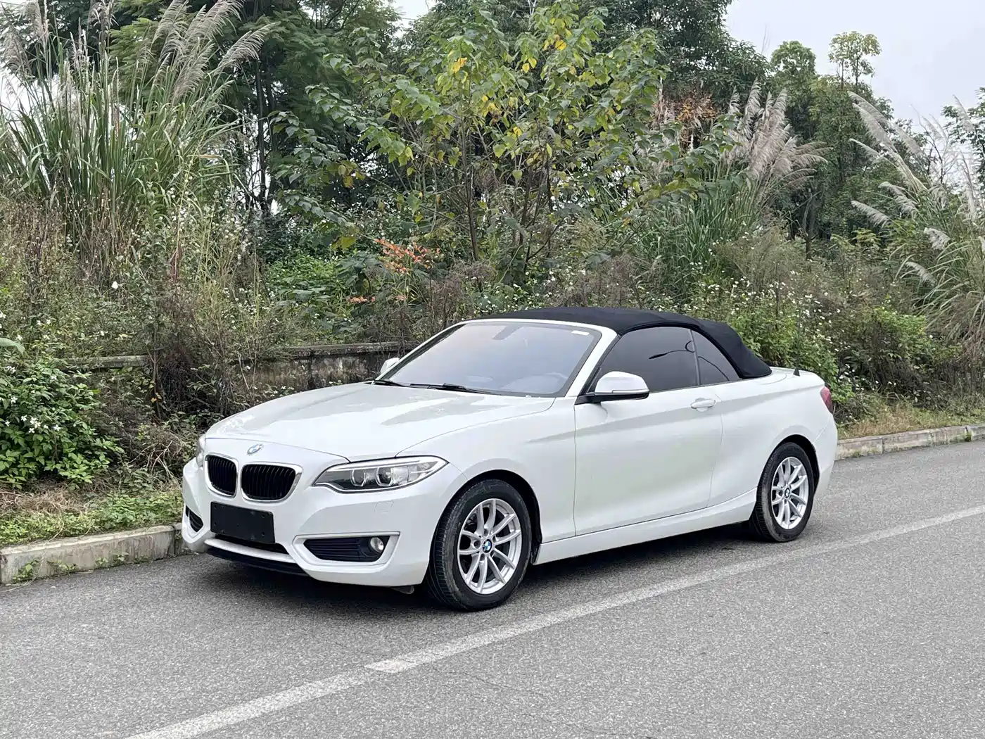 BMW 2 Series (Import) 2015 218i Convertible Coupe