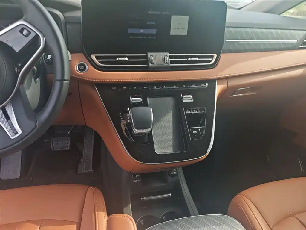 Hongqi HQ9 PHEV 2024 Model 2.0T AWD Business Edition фото 13