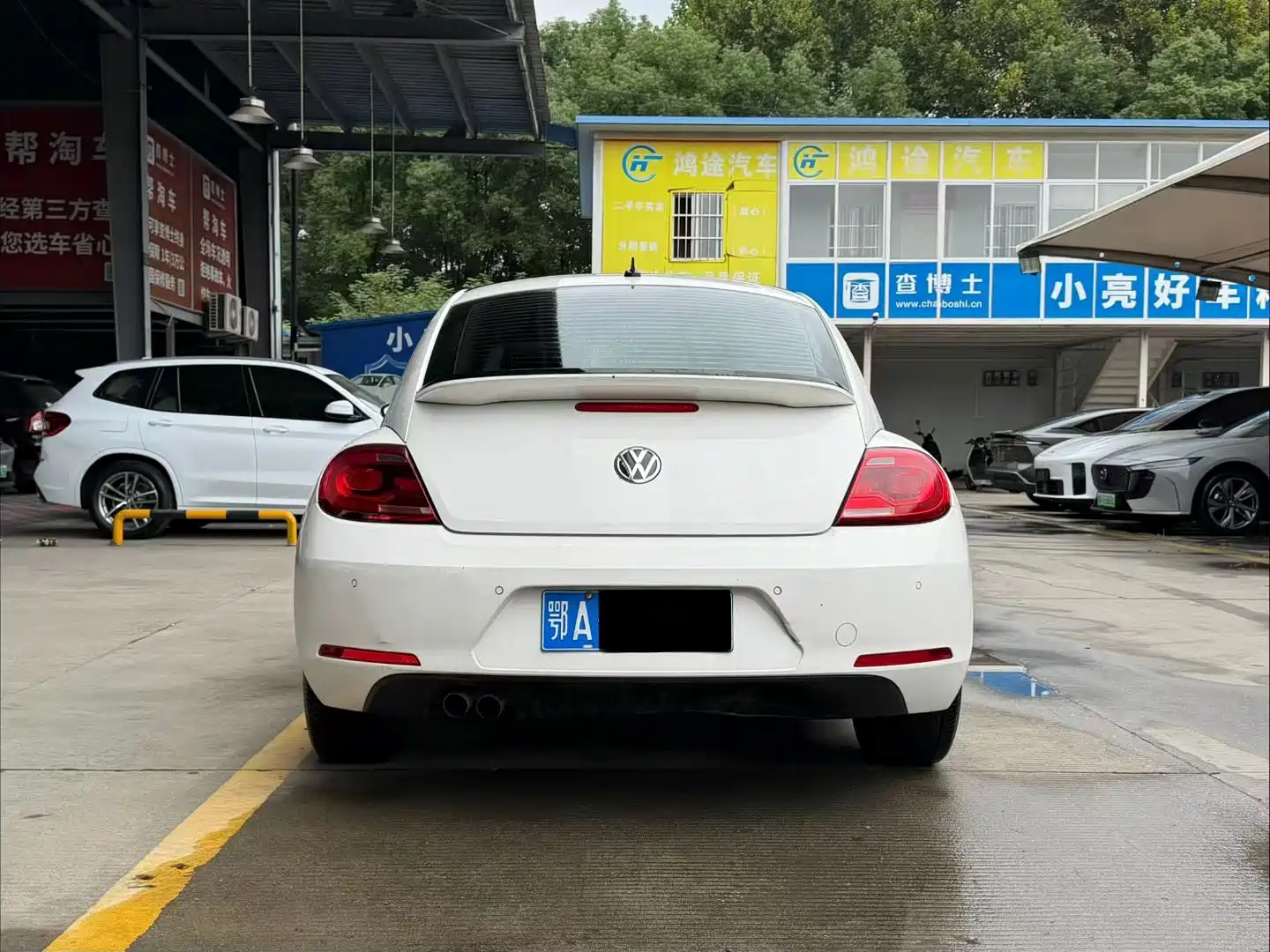 Фото 8 - Volkswagen Beetle