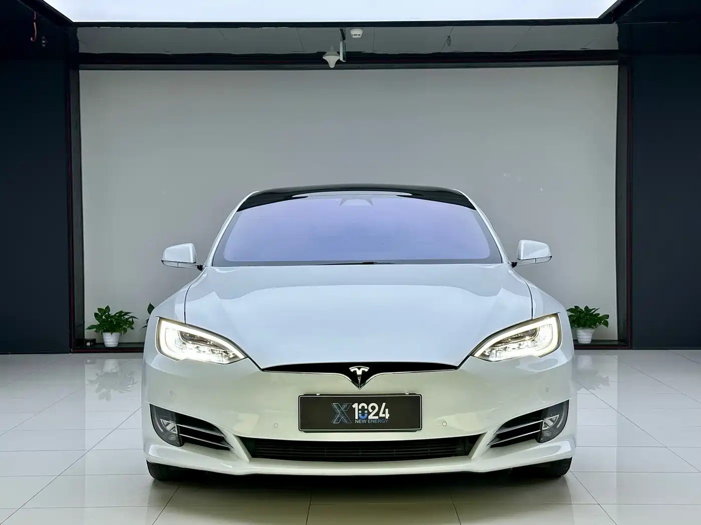 TESLA MODEL S