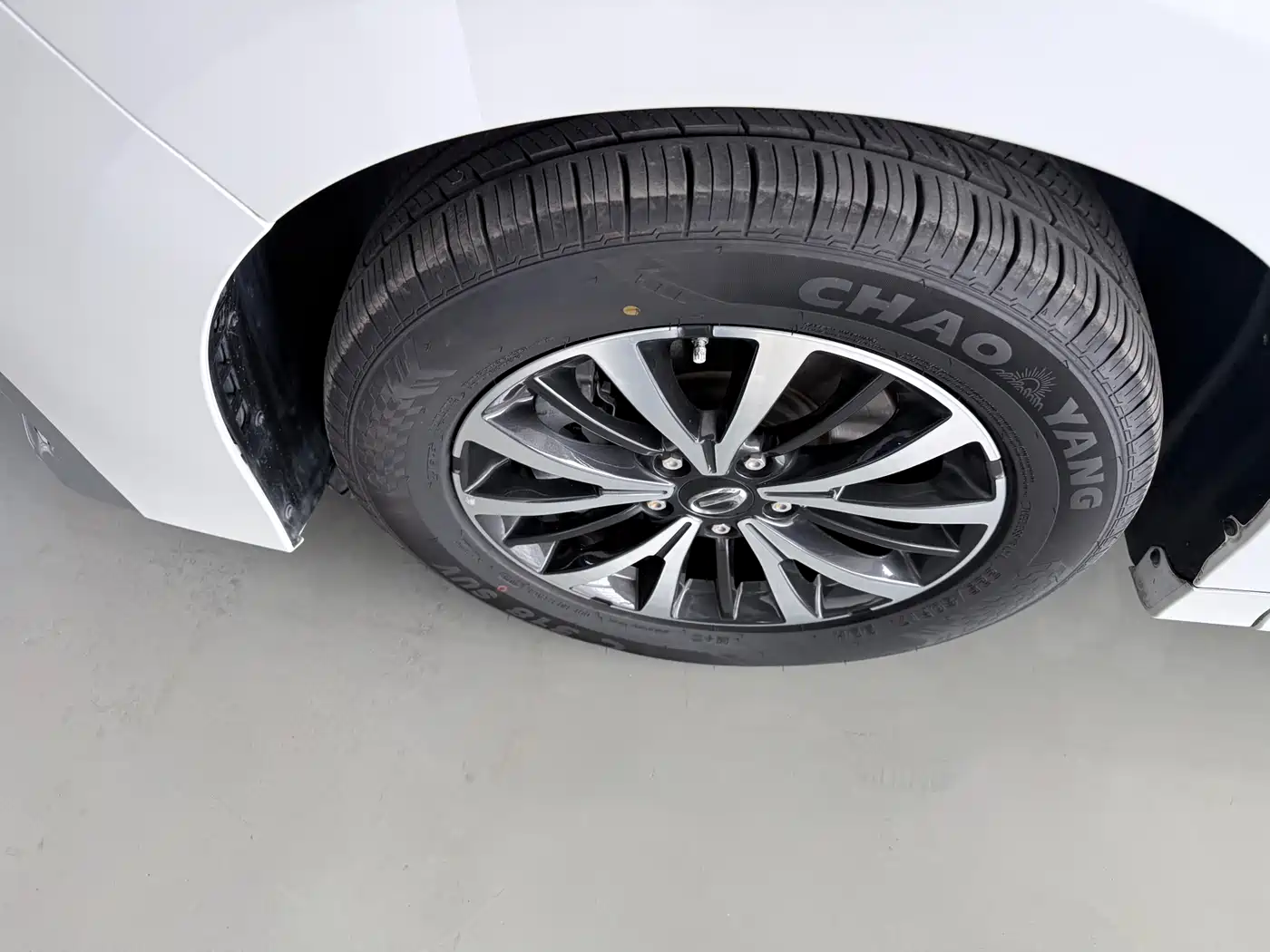 GAC Trumpchi Trumpchi M8 2023 Leading Series 390T Premium Edition фото 5