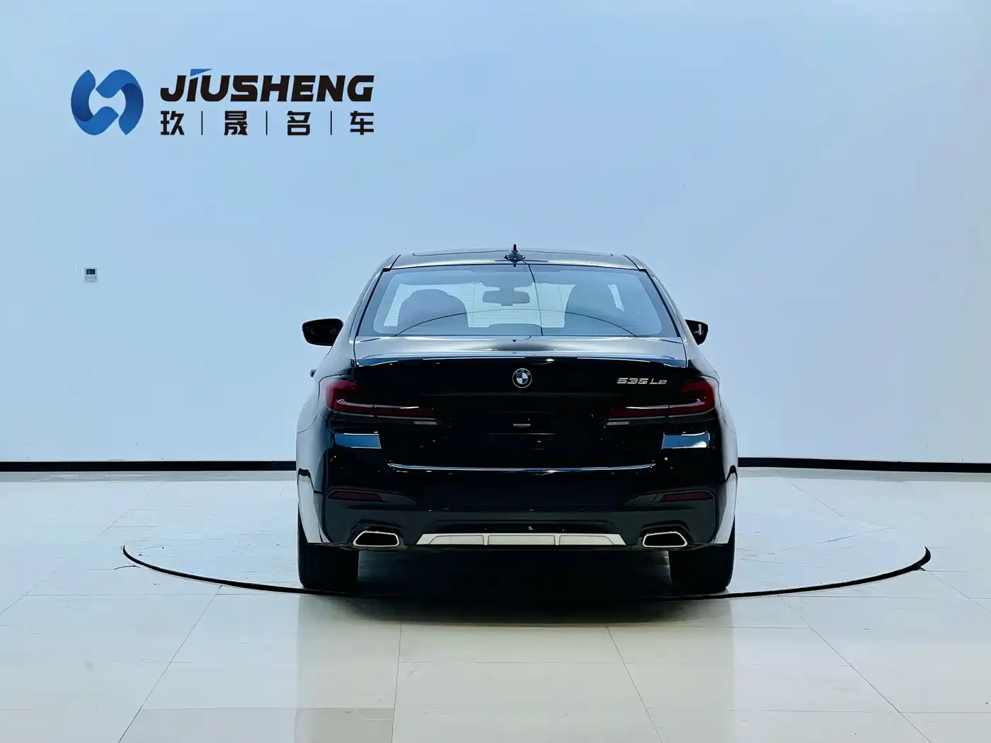 BMW 5 SERIES NEW ENERGY