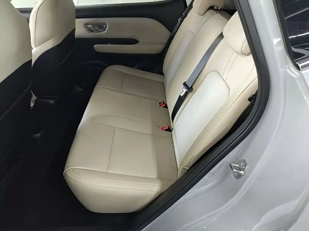 Wuling Motors Wuling Binguo PLUS 2025 2024 401km Range 5-seater