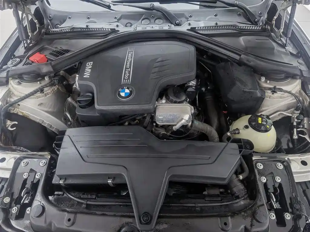 BMW 3 Series 2016 320Li Luxury Design Package фото 6