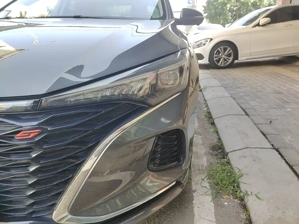Фото 24 - Changan Eado