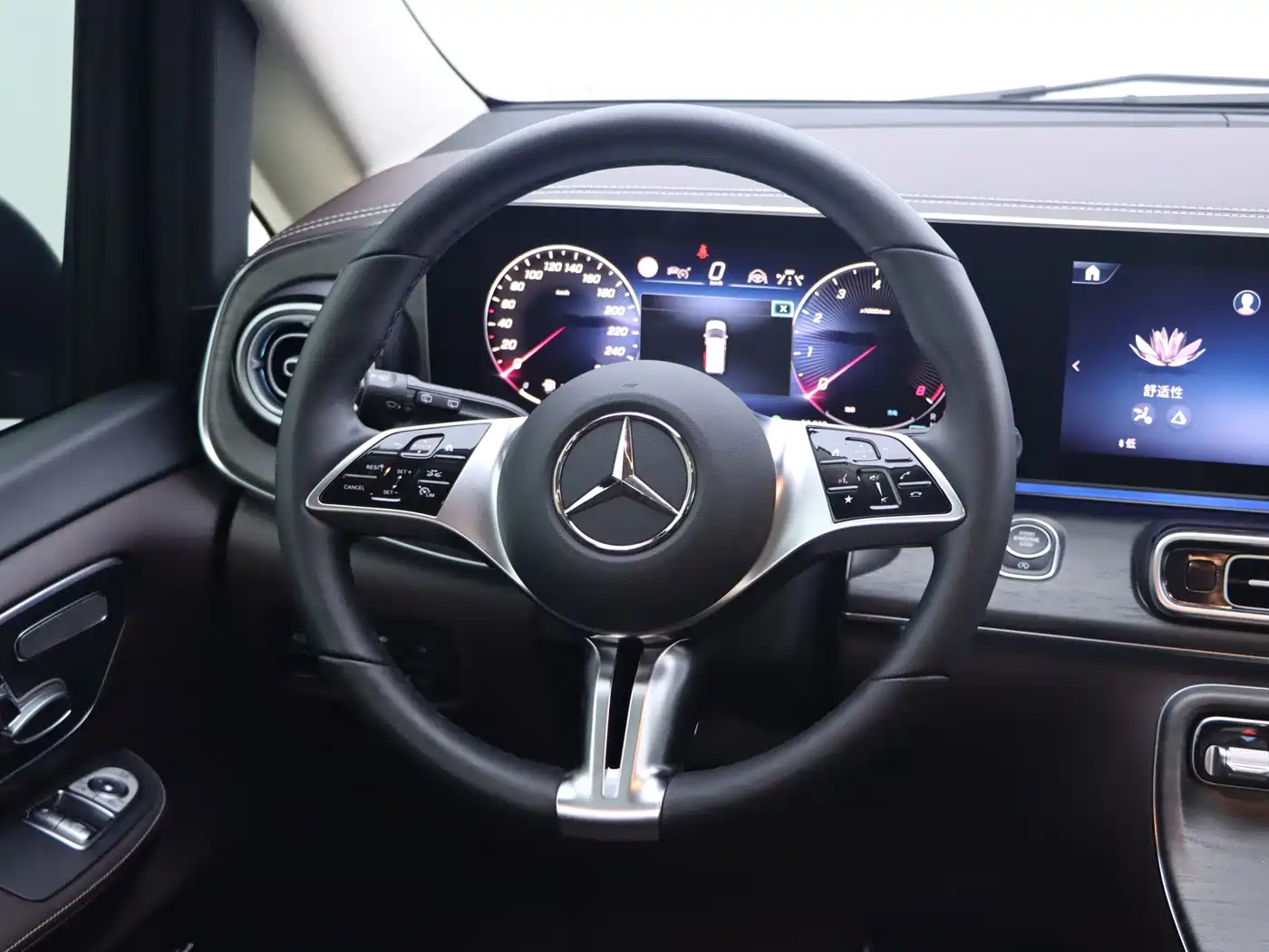 Mercedes-Benz V-Class 2025 2024 V 300 L Long Wheelbase Luxury Edition