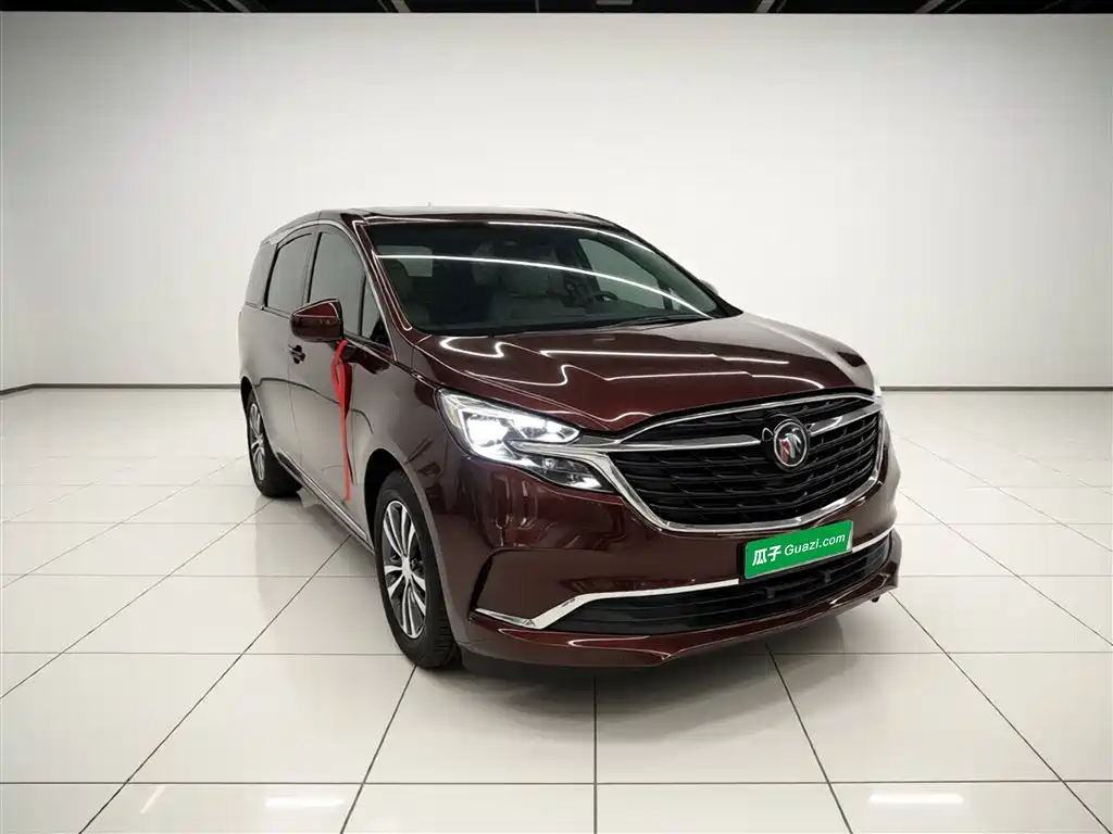 Buick GL8 2022 ES Landmark 653T Premium фото 4