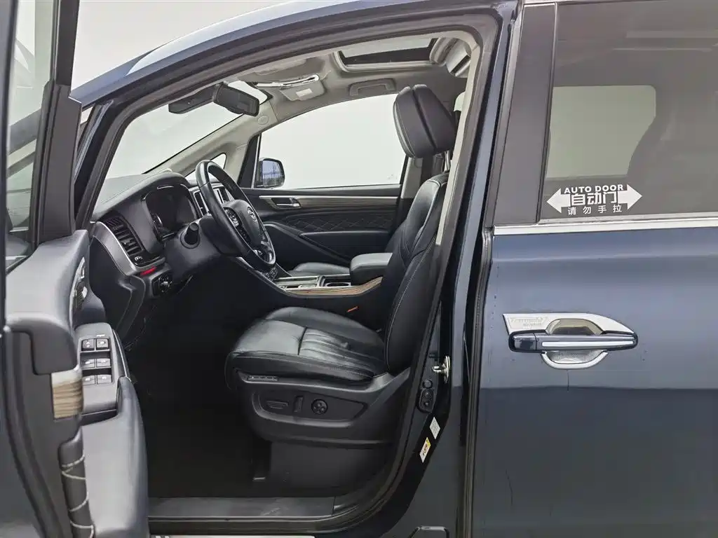 GAC Trumpchi Trumpchi M8 2020 Master Edition 390T Ultimate фото 10