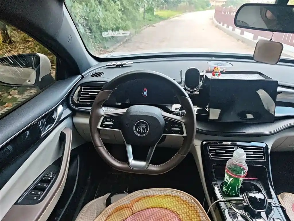BYD Qin PLUS 2023 Champion Edition DM-i 55KM Leading фото 3