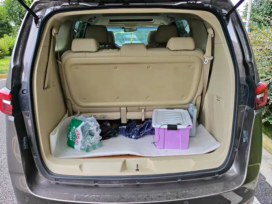 Фото 4 - Buick GL8