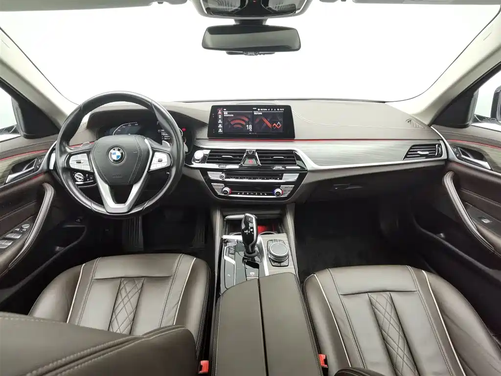 BMW 5 Series 2020 530Li Leading Luxury Package фото 5