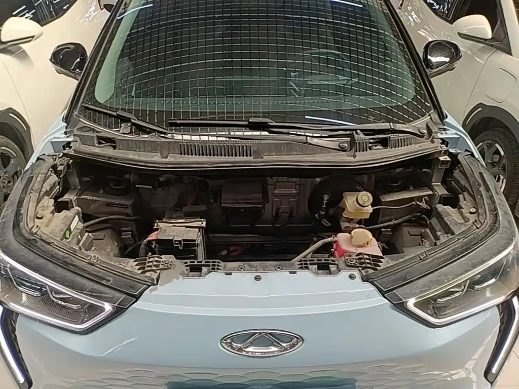 Chery New Energy Chery Wujie Pro 2023 2022 301km Mythical Beast Edition LFP