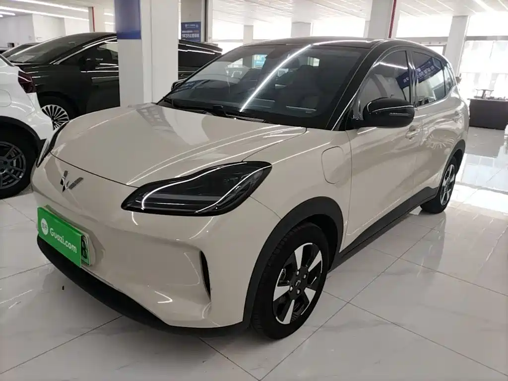 Wuling Motors Wuling Binguo PLUS 2024 2024 Model 330km 5-Seater