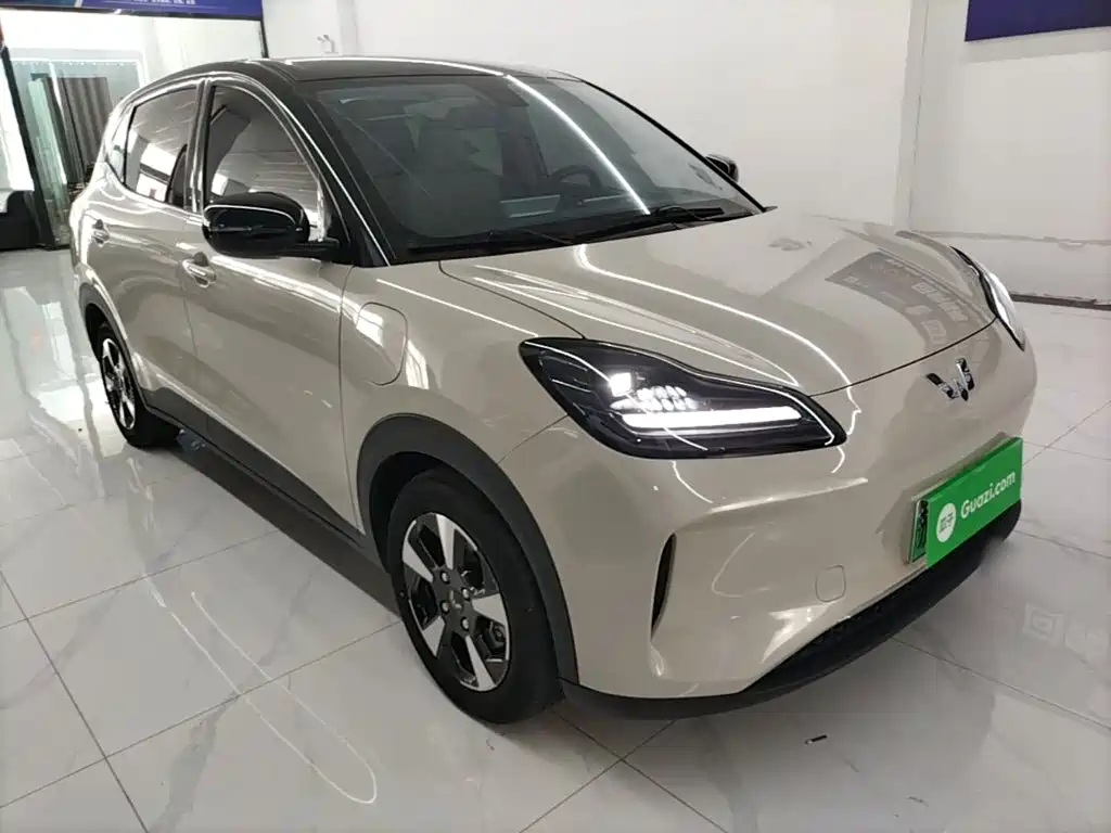 Wuling Motors Wuling Binguo PLUS 2024 2024 Model 330km 5-Seater