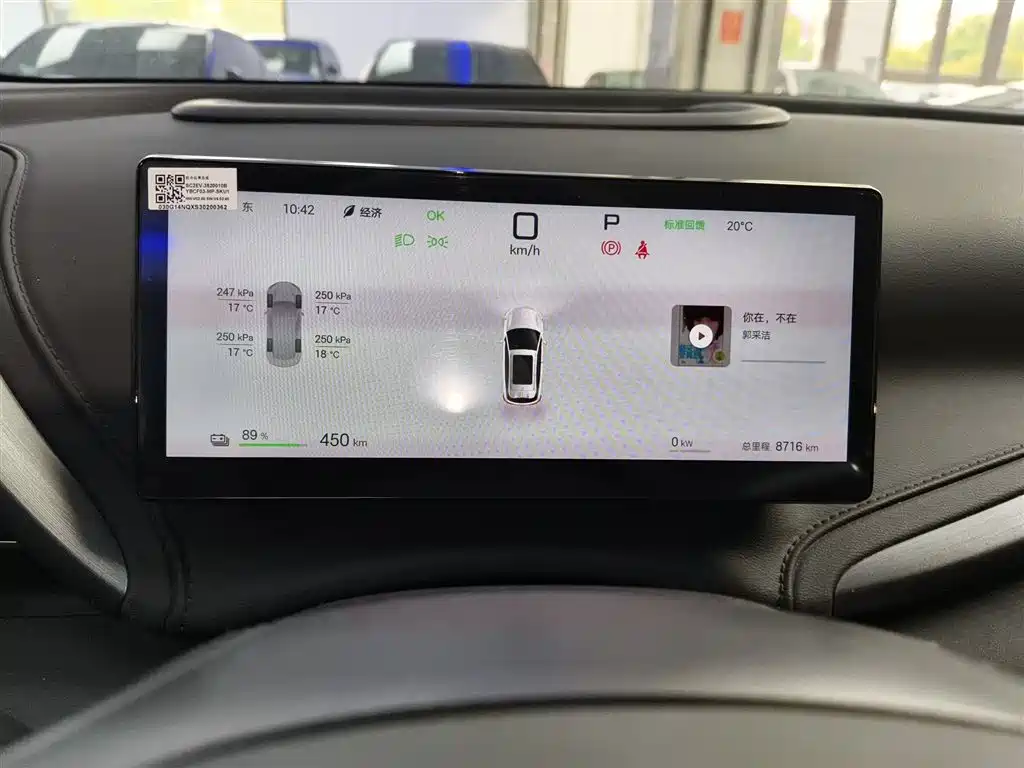 BYD Yuan PLUS 2025 Smart Drive 510KM Excellence Edition фото 8