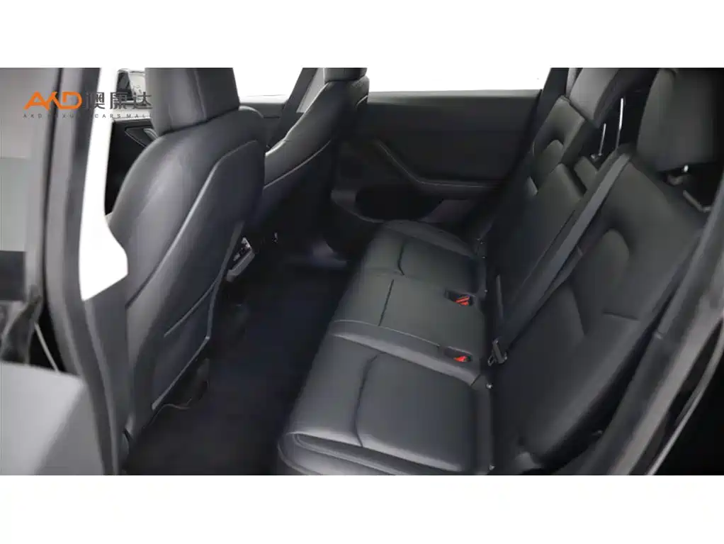 Tesla Model Y 2021 2021 Standard Range Rear-Wheel Drive