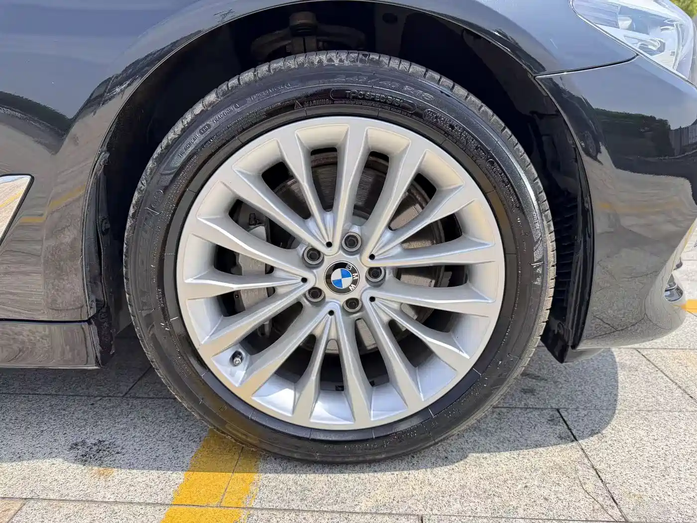 BMW 5 Series 2019 530Li Leading Luxury Package фото 9