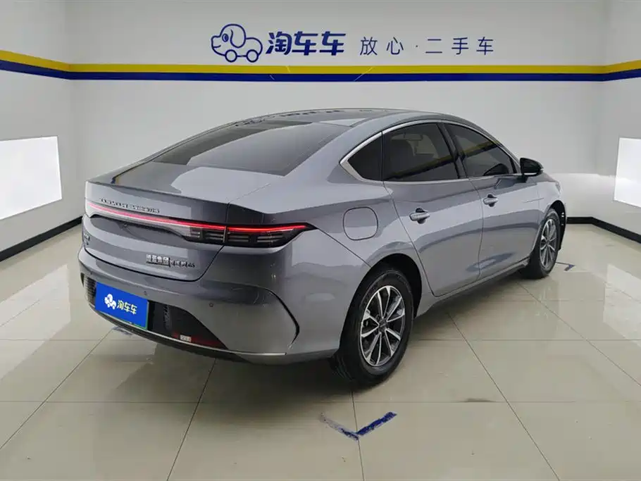 BYD Destroyer 05 2024 Glory Edition DM-i 55KM Luxury фото 3