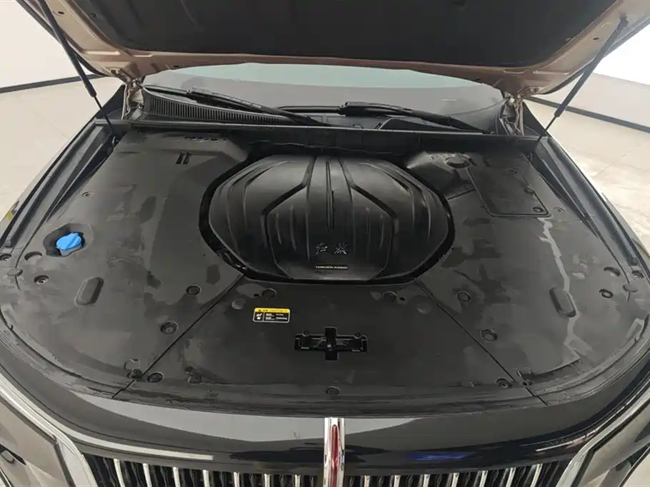 Hongqi H9 2020 2.0T Smart Connection Qi Chang Edition фото 10