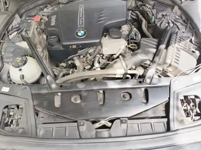 BMW 5 Series (Import) 2015 520i Elegance — фото 3