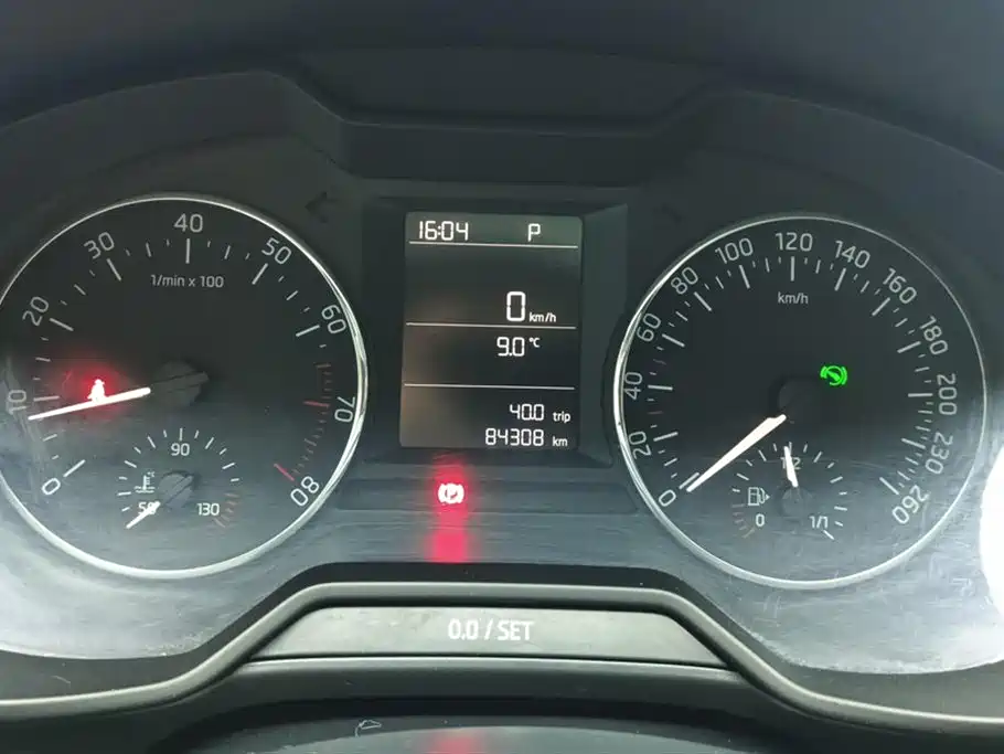 Škoda Octavia 2017 1.6L Automatic Pioneer Edition фото 14