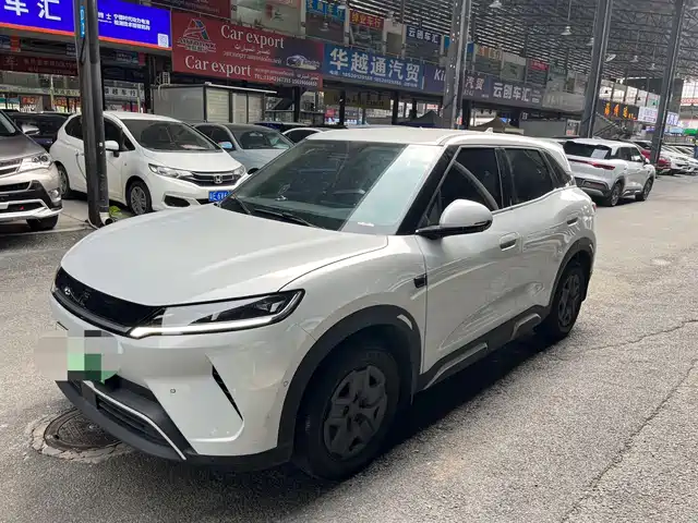 BYD Yuan UP Система помощи водителю, 401KM, Энергия