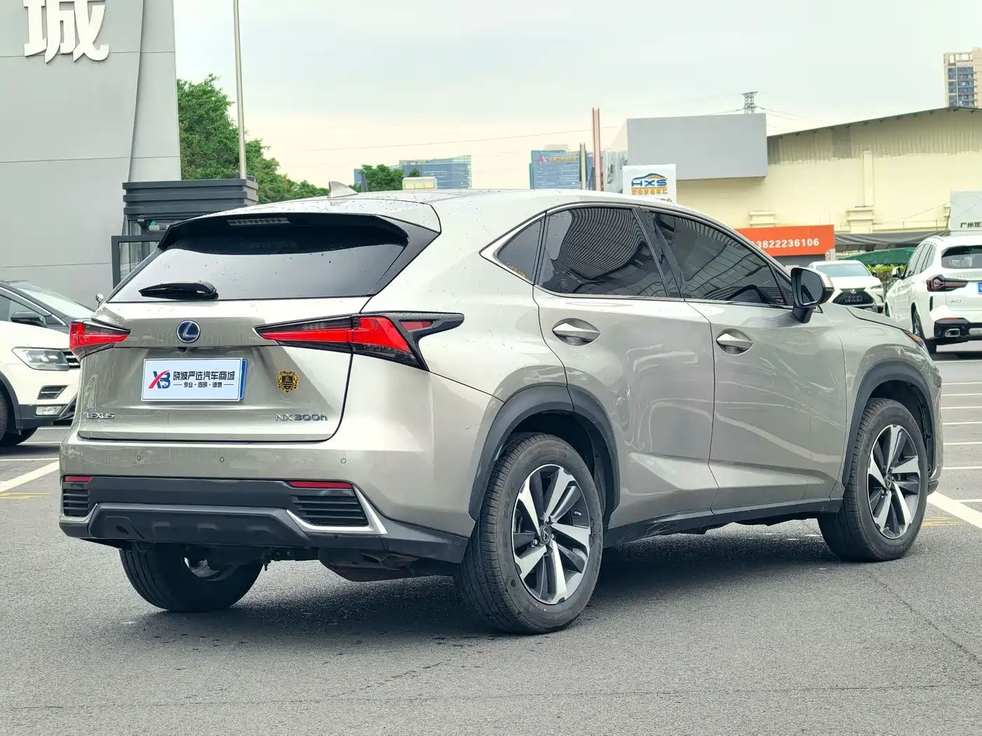 LEXUS NX