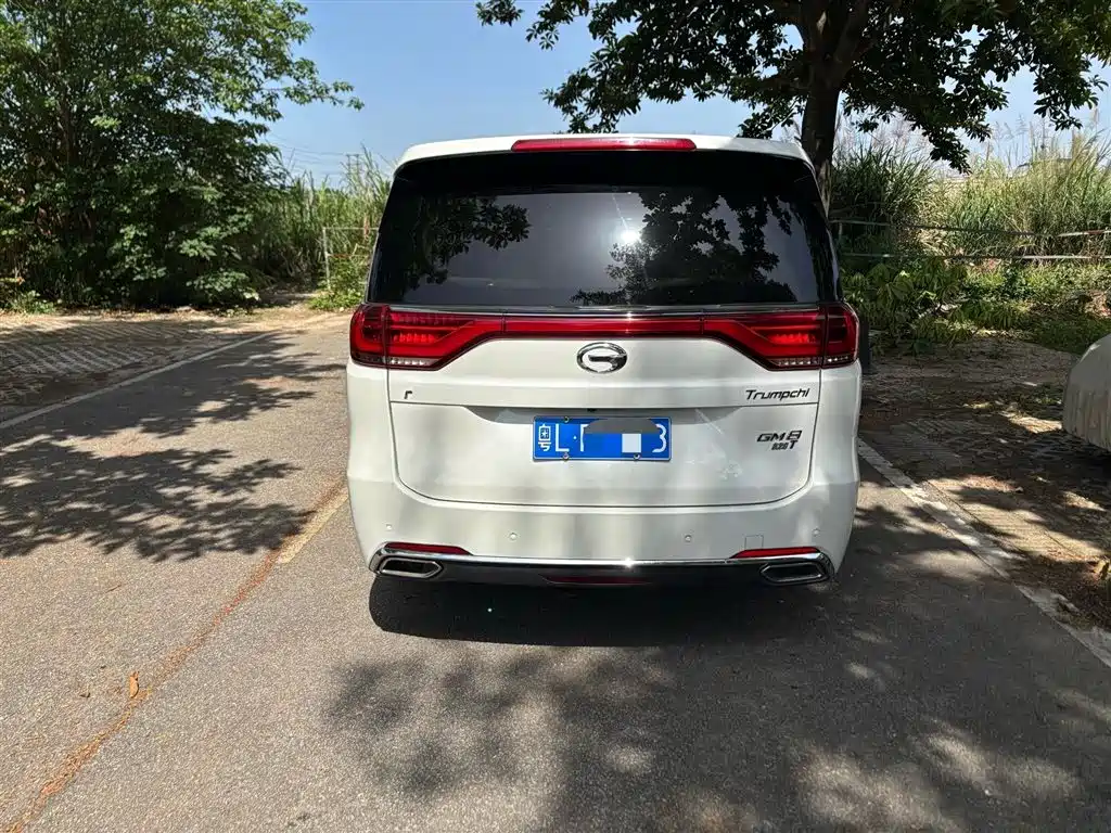 GAC Trumpchi Trumpchi M8 2018 320T Premium Edition фото 10
