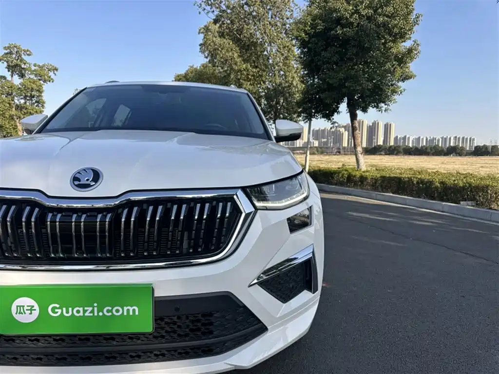 Škoda Kodiaq 2022 TSI330 7-Seater FWD Luxury Edition фото 3