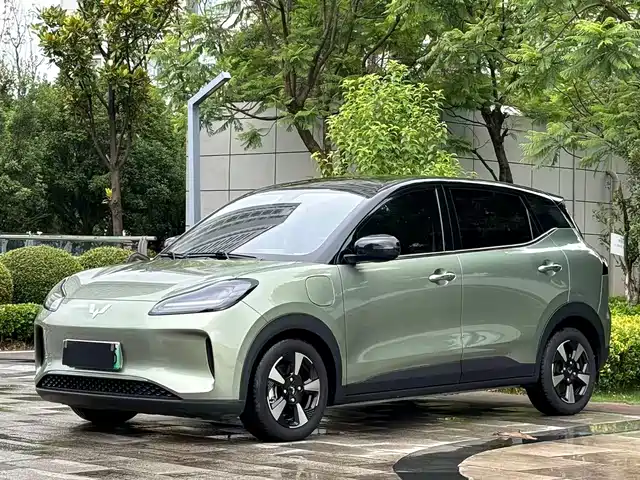 Wuling Motors Wuling Binguo PLUS 2024 Model 510km Flagship Edition 4-Seater