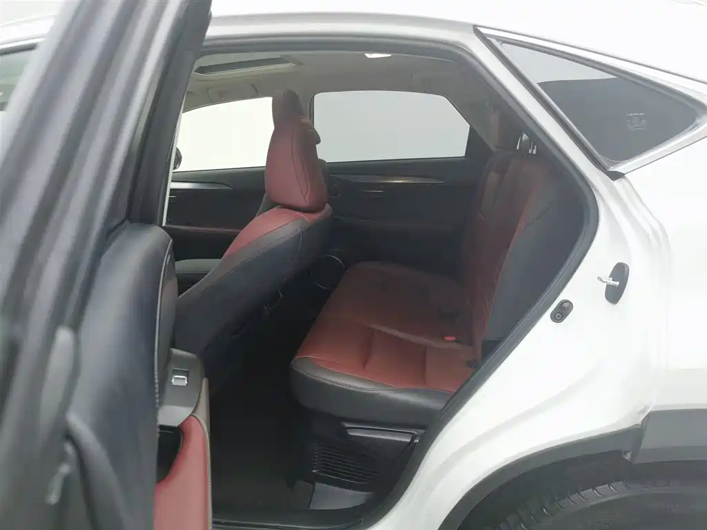 Lexus NX 2018 Model 300h FWD Fengshang Edition China V фото 15