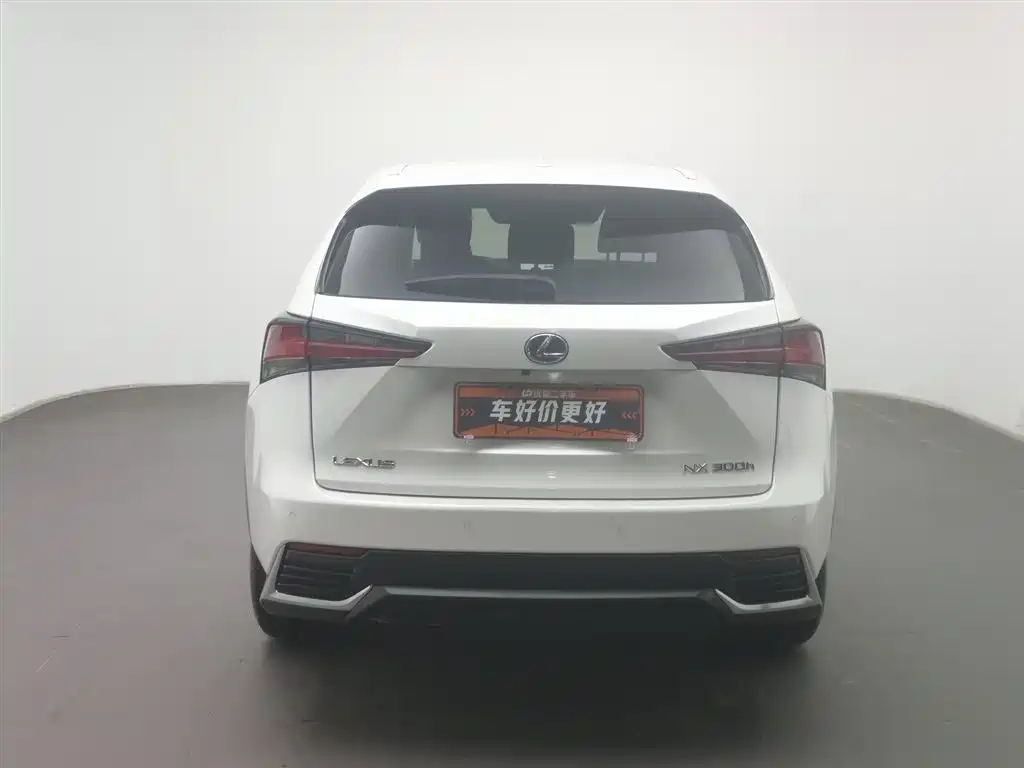 Lexus NX 2018 Model 300h FWD Fengshang Edition China V фото 4